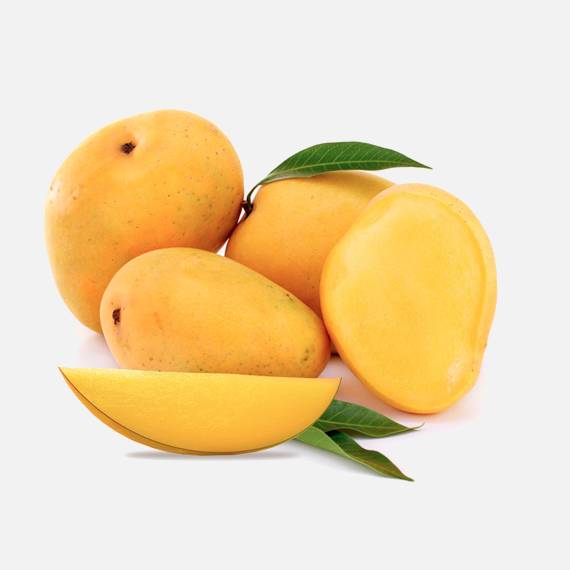Buy Alphonso Mango Online Fresh and Flavorful Mangoes Delivered to